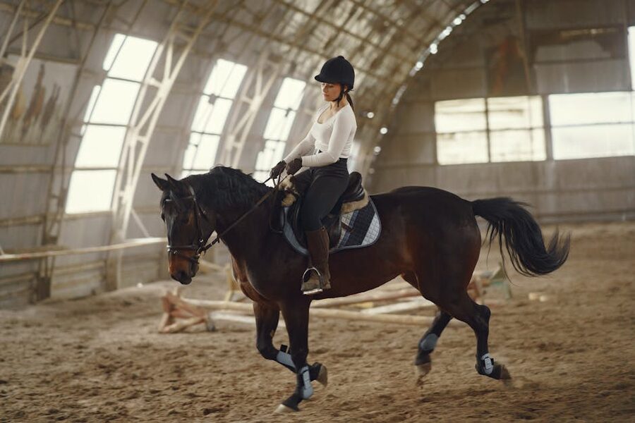 Indoor dressage riding arena