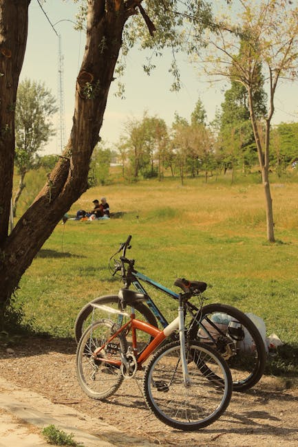 Family having picnic in park next to their bicycles