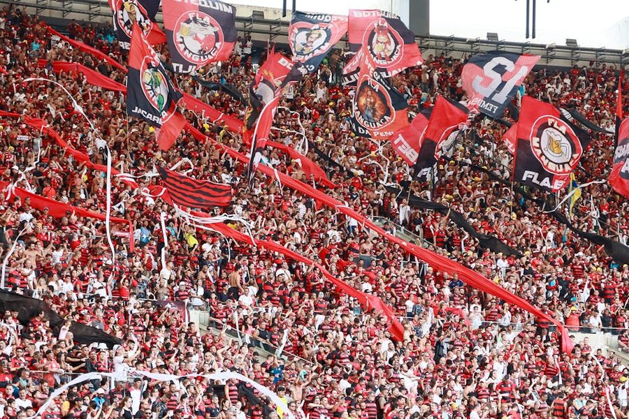 Football fans chanting and waving flags in a packed stadium
