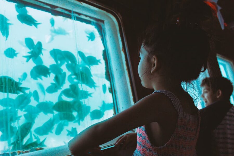 Girl watching fish through aquarium window