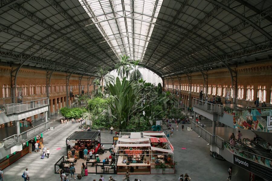 Tropical botanical garden inside Madrid Atocha train station