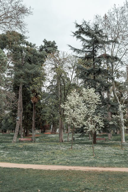 Tree-lined paths in a Madrid park botanical garden