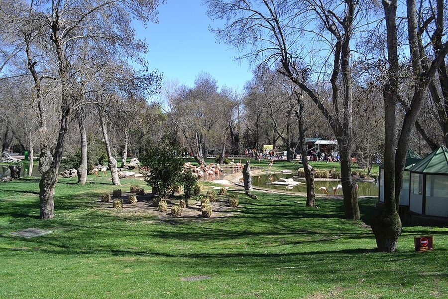 Madrid Zoo Aquarium park pathway