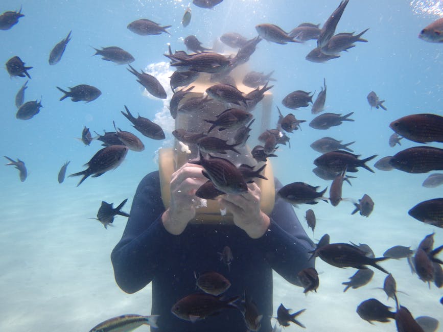 Fish visible in clear Mediterranean water