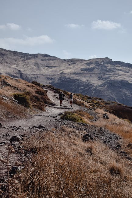 Scenic walking trail path through mountain landscape