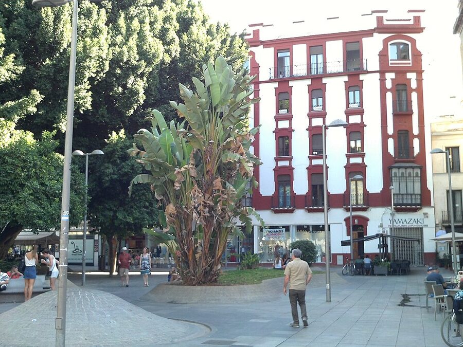 Plaza de la Encarnacion in Sevilla