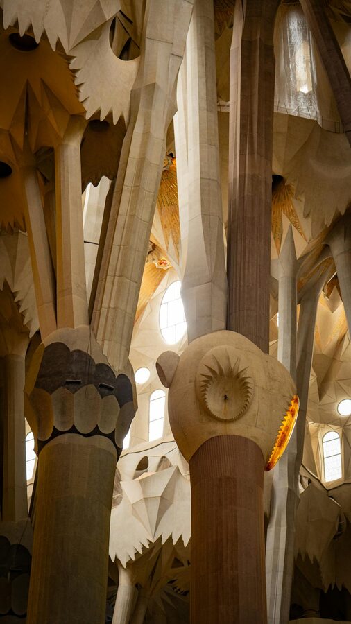 Tall branching columns inside Sagrada Familia with light streaming through
