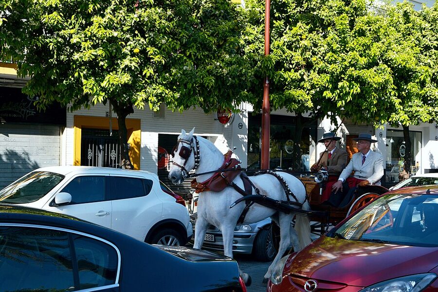 Traditional costumes at Sevilla Feria de Abril