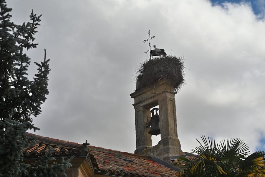 White stork nesting on top of a church tower in Spain