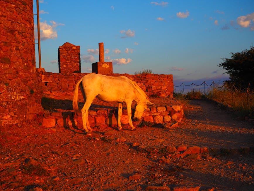 White horse with ancient ruins