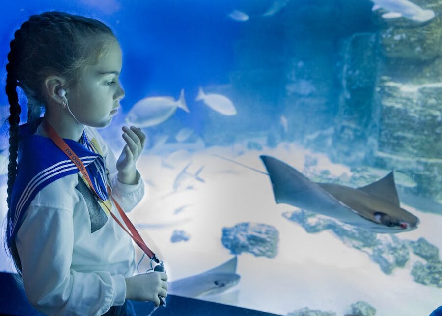 Young girl watching stingray at aquarium