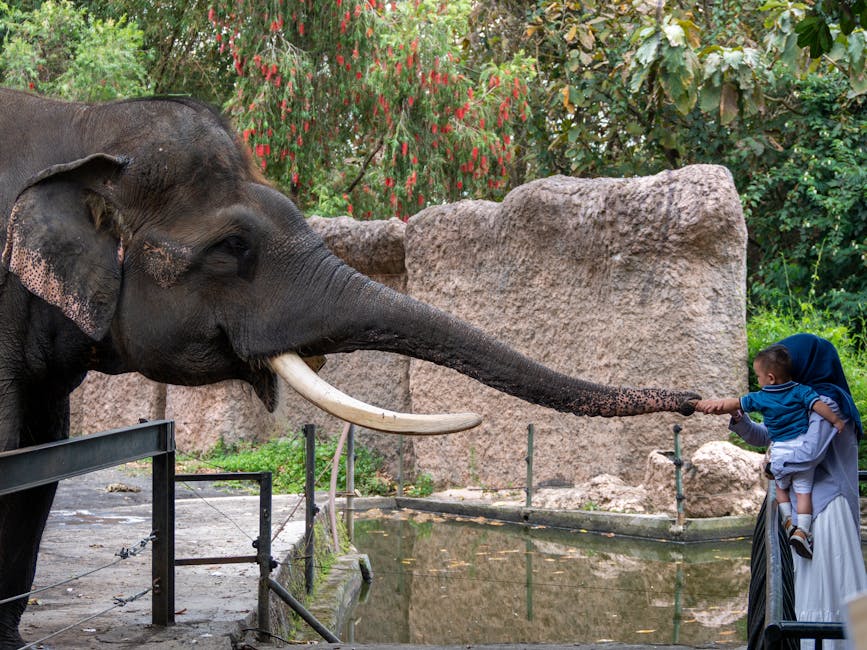 Family with children visiting animals at the zoo